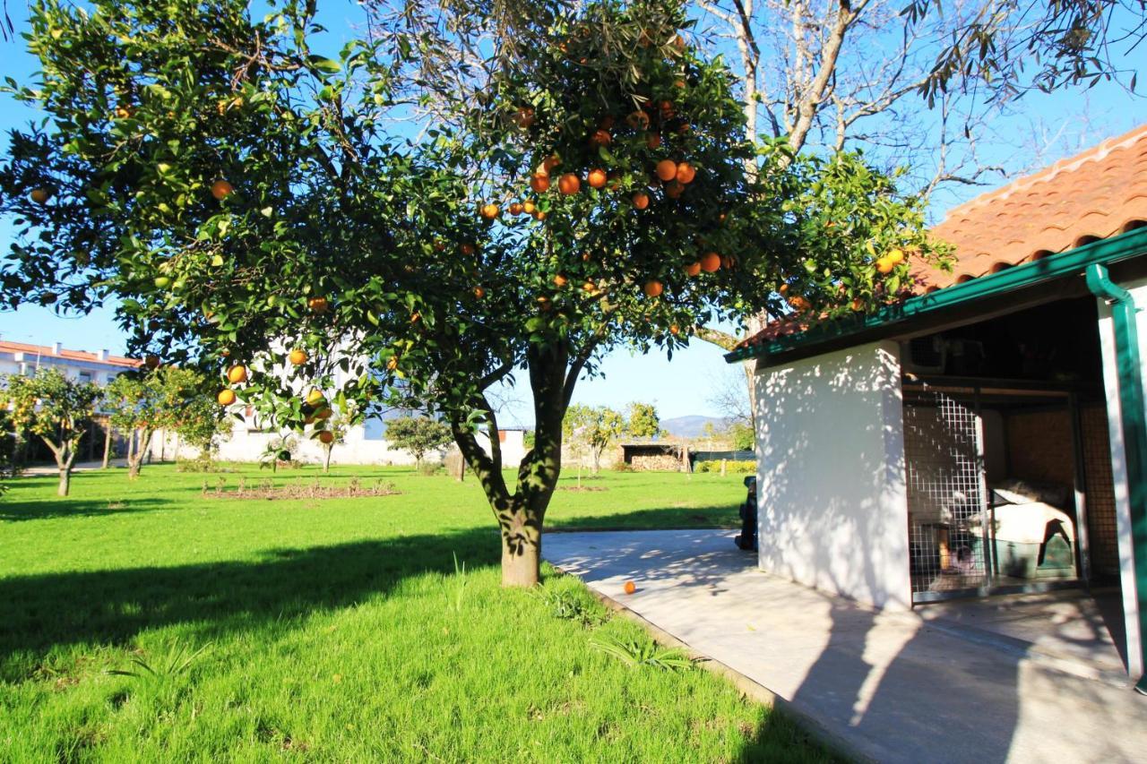 Casa Dos Ouricos Villa Ponte de Lima Buitenkant foto